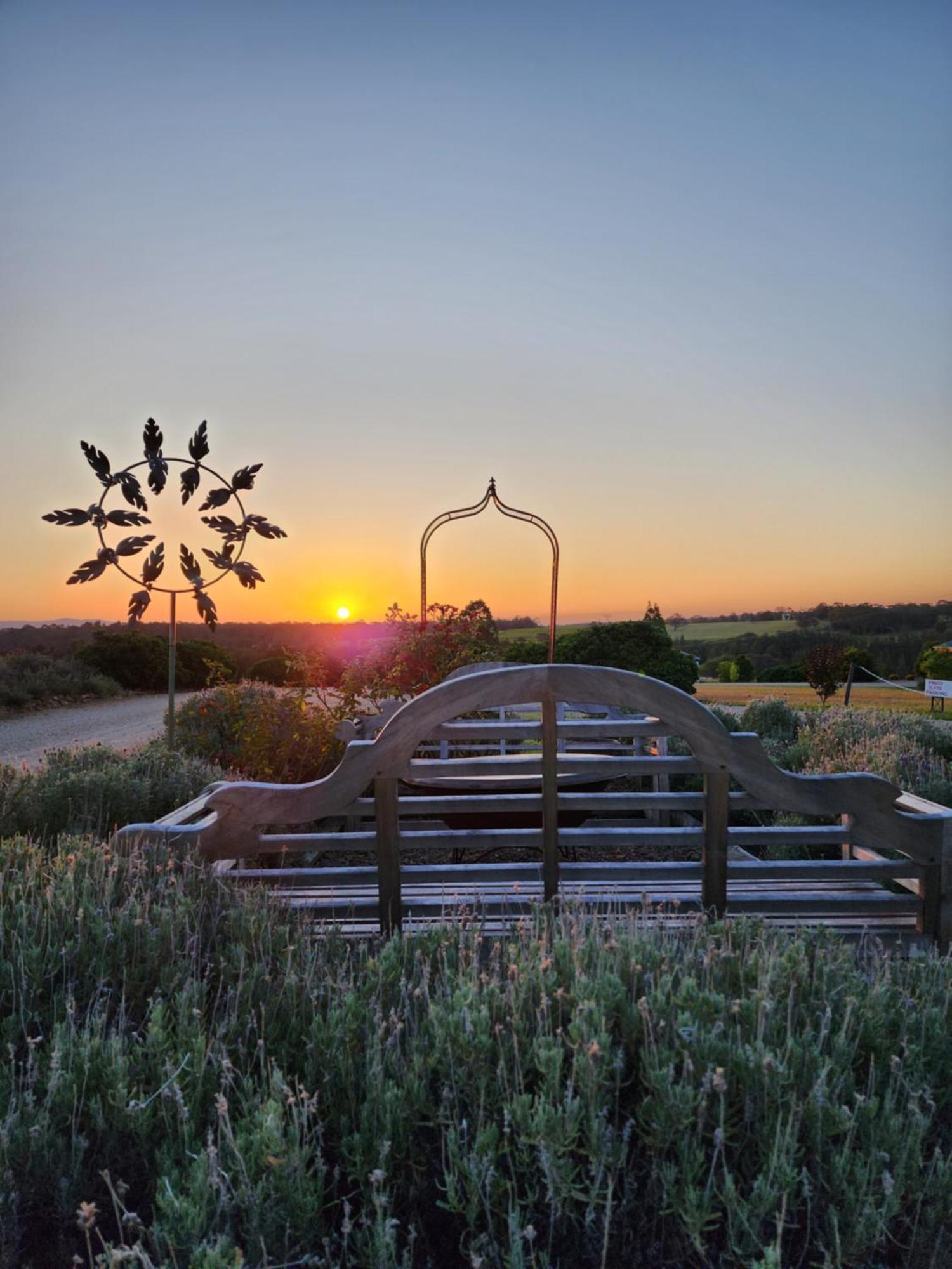 Red Door Collective - Rdc Vineyard Estate, Luxury Adult Only Stay ポーコルビン エクステリア 写真