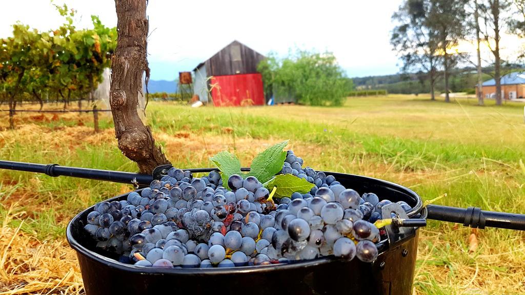 Red Door Collective - Rdc Vineyard Estate, Luxury Adult Only Stay ポーコルビン エクステリア 写真